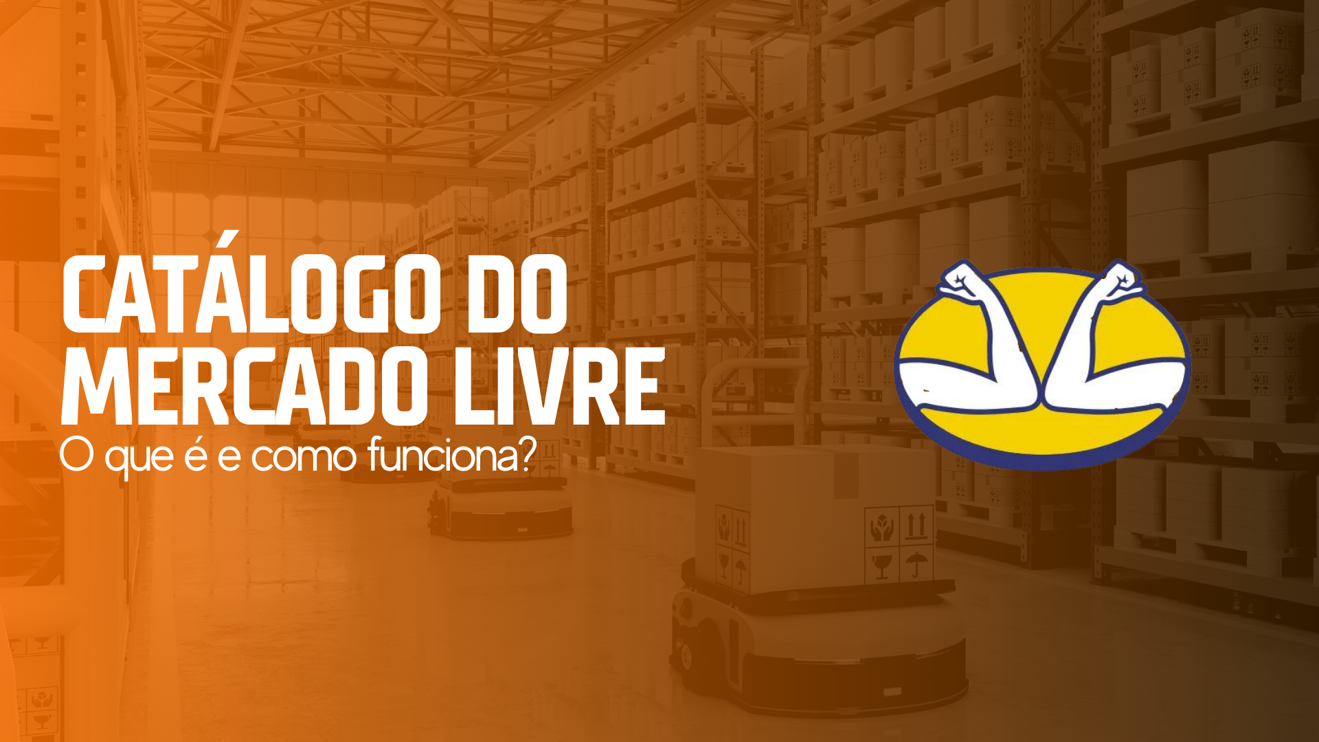 Catálogo do Mercado Livre O que é Como Funciona